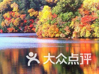 东风商用车申请电池模组专利，提高容量一致性评价准确性