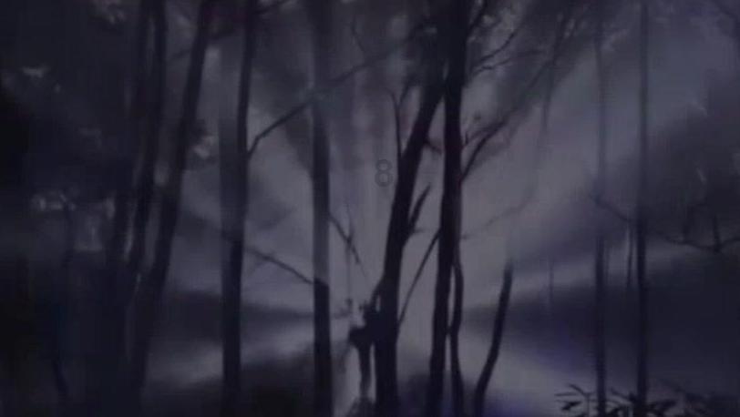 暗影之刃
