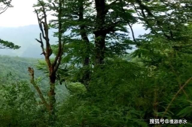 魔兽新剧情爆大料！泰坦故意腐化艾泽拉斯，反派BOSS才是救世主