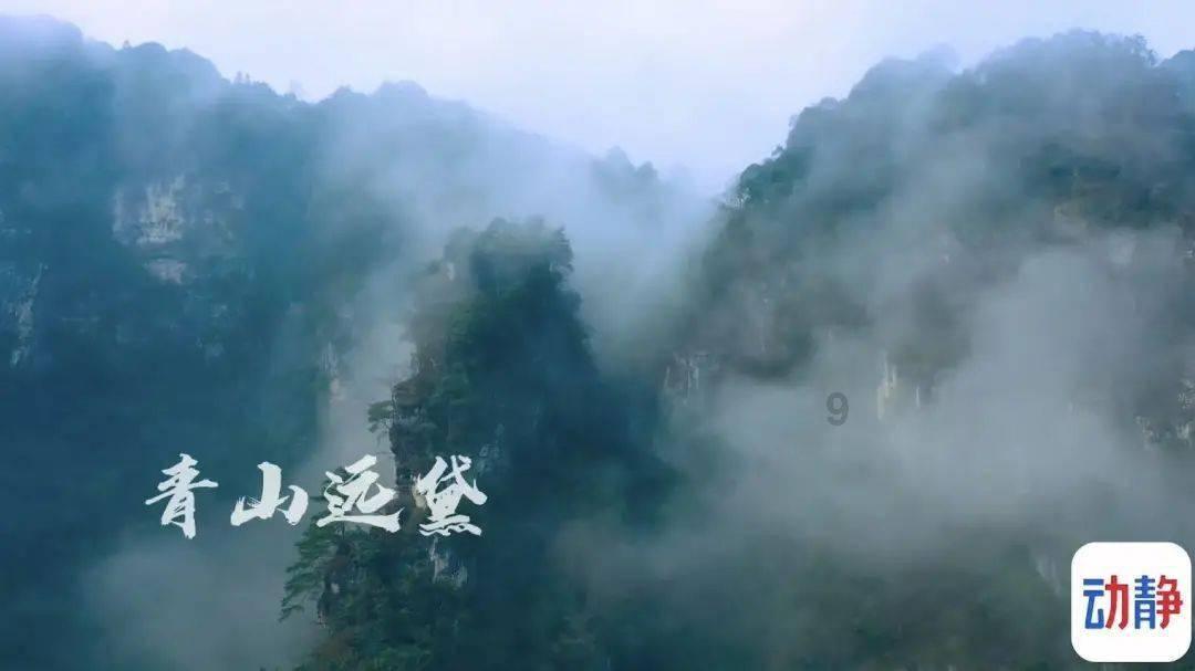 小猫钓鱼游戏龙王版有船