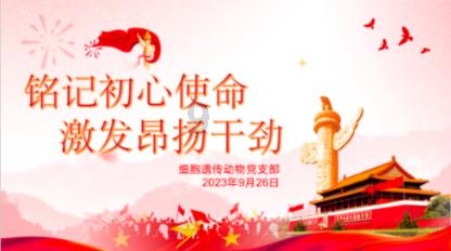 唐洁，勇敢无畏的巾帼警花