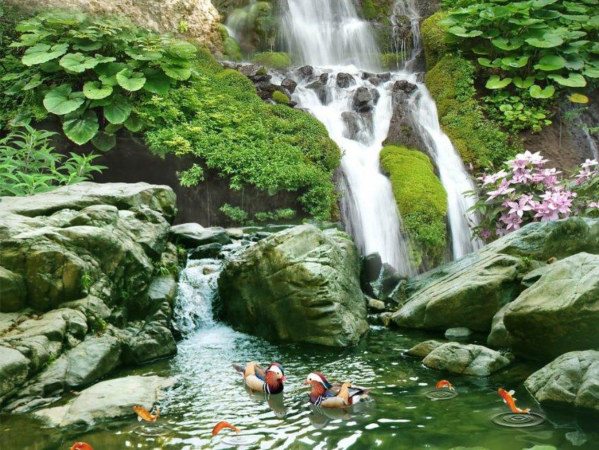 李海雁画作:淡雅秀丽,尽显生活雅趣